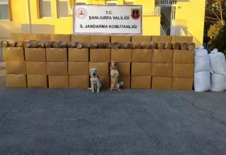 Şanlıurfa’da Kaçak Sigara ve Tütün Operasyonu