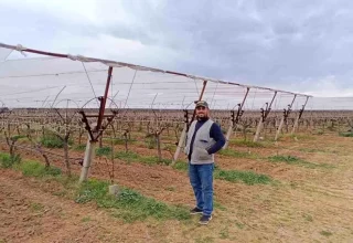 Sarıgöl’de Üreticiler Dolu ve Don Riskine Karşı Önlem Alıyor