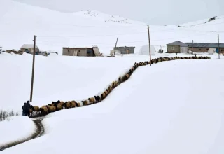 Şırnak’taki Çoban, Dağlarda 20 Yıldır Yaşıyor: Şehir Görmedim