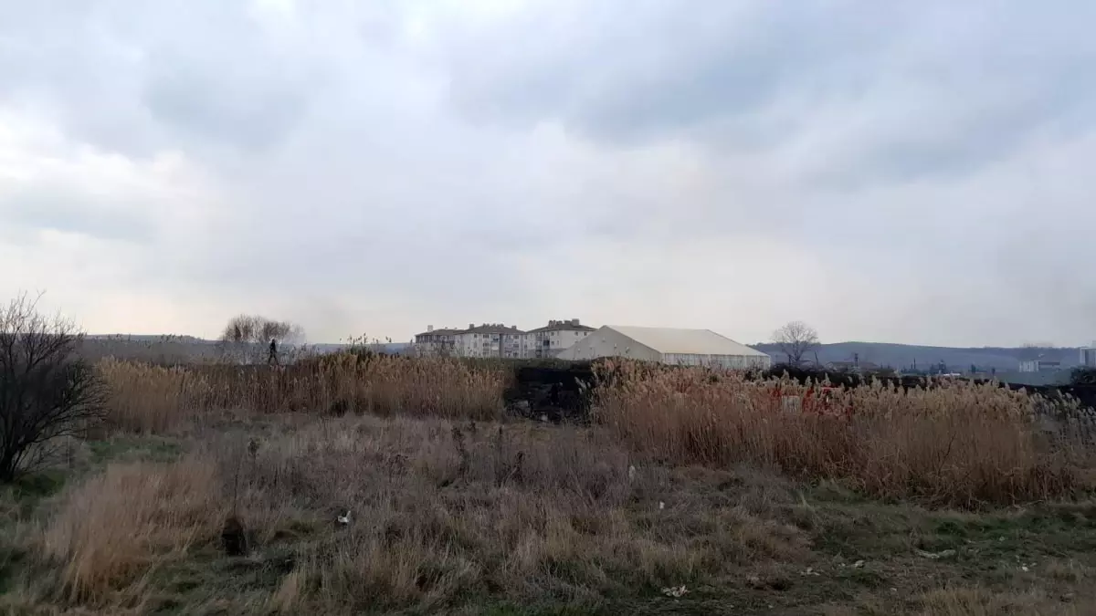 Tekirdağ’da Otluk Alanda Yangın Çıktı