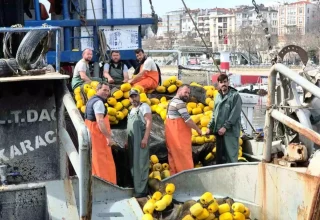 Tekirdağlı Balıkçılar Müsilaj Nedeniyle Sezonu Erken Kapattı